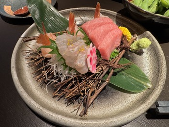 �ɿ������碌