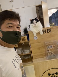 cat cafe