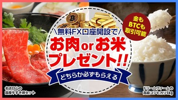 ���������ڡ���