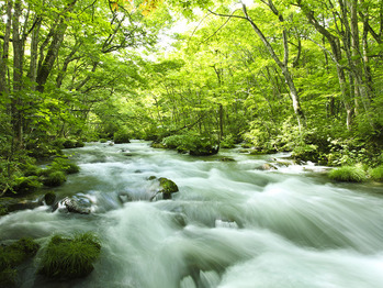 奥入瀬渓流