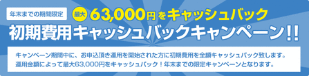 campaign