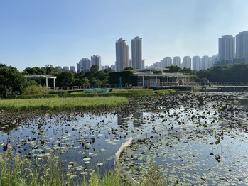 ������ϸ���