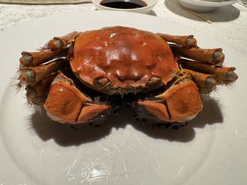 上海蟹
