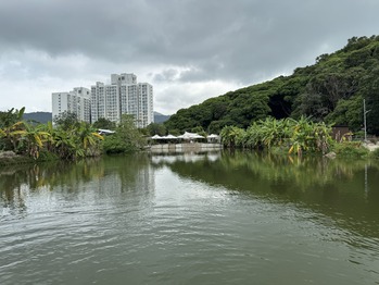 The Hideout