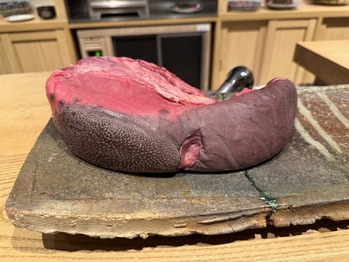 ���Ȥ����о���