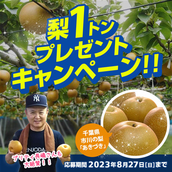 �ץ쥼���