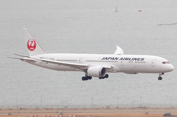 50853367456_f9b566d5fb_b