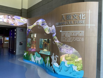 ������ϸ���