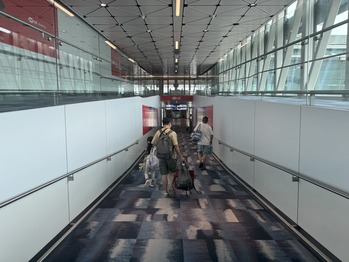 �����ݶ���