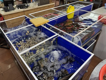 �� �ۥ�  Ra Khoi