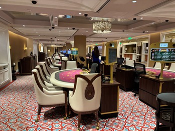 �������ޥ˥�VIP