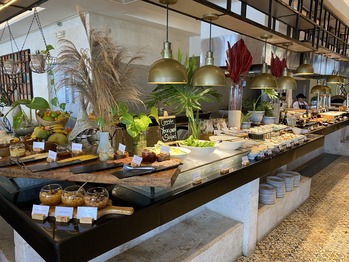 �ǥ奷���� �ޥ����� ����