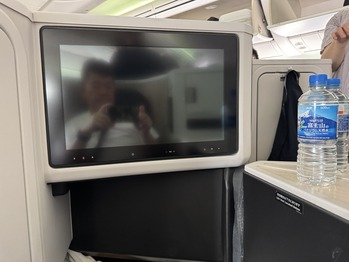 JAL029