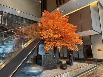 ¥ª¡¼¥¯¥é¡¦¥×¥ì¥¹¥Æ¡¼¥¸ ¥Ð¥ó¥³¥¯