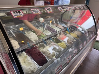 �г���ߥ�ߥ�����