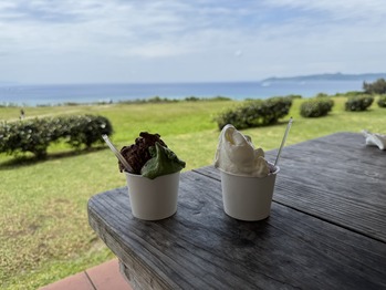 �г���ߥ�ߥ�����