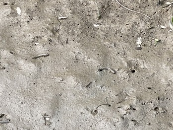 ������ϸ���