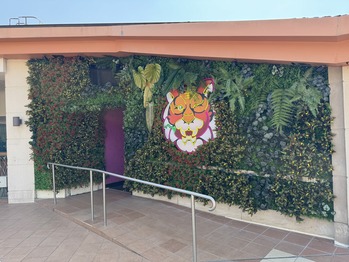 SPICY TIGER ���׺�