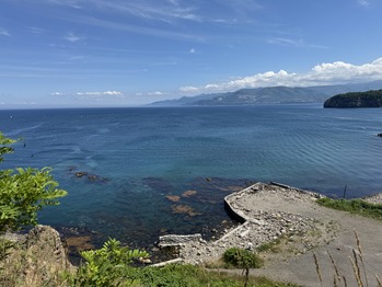 ¥Ë¥·¥ó¸æÅÂ