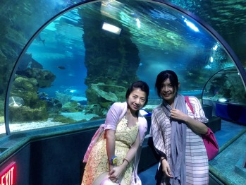 水族館