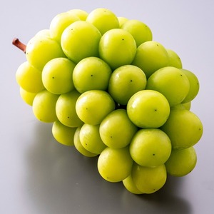 ���㥤��ޥ����å�