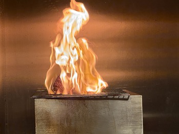 ���Ȥ����о���