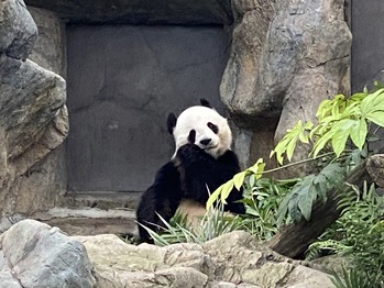 ���θ���