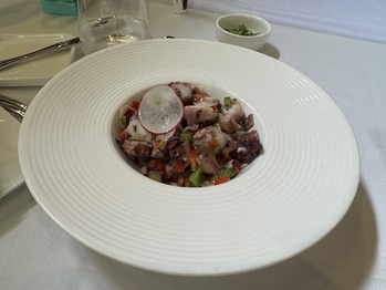 ¥¢¥ó¥È¥Ë¥ª