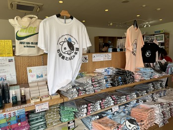 �г���ߥ�ߥ�����