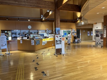 洞爺湖ビジターセンター 火山科学館