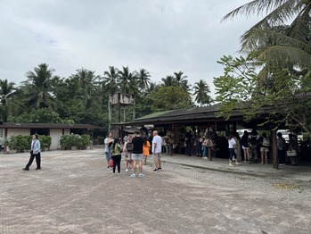 ココナッツファーム見学