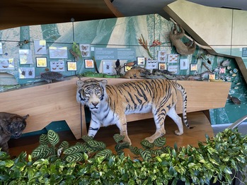 ������ϸ���