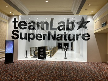 チームラボ