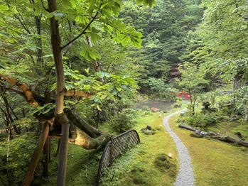 ���̲����� ��ǵ��