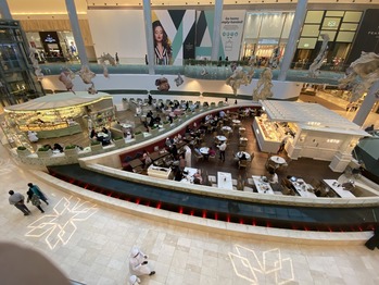 ���֥��ӥ����ץ�