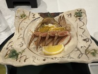 ���̲����� ��ǵ��