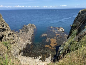 ¥Ë¥·¥ó¸æÅÂ