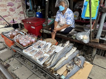 メークローン市場