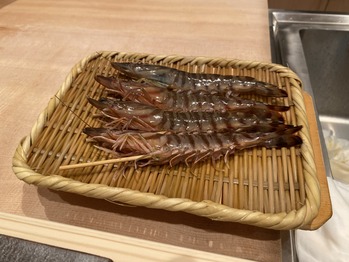 鮨わだつみ
