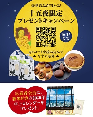 ���Ϥ�����������