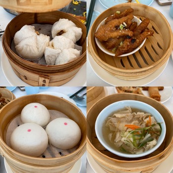 ��CHINA TANG����ʹۡˡ�