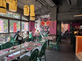 SPICY TIGER ���׺�