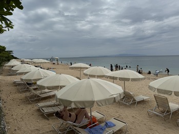 �ե����꥾����