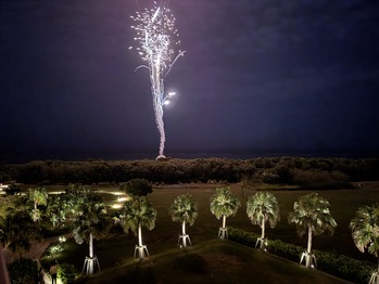 �Ǥ��夲�ֲ�