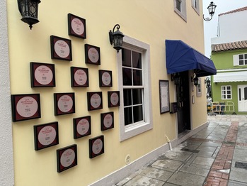 ¥¢¥ó¥È¥Ë¥ª