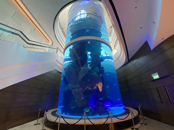 ���θ���ޥꥪ�åȥۥƥ�