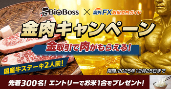 ���������ڡ���