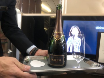 ���󥬥ݡ���Ҷ�