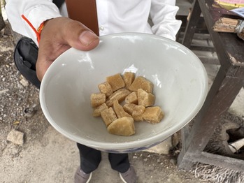 ココナッツの花