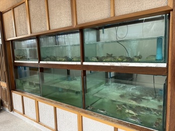 SABIENGLAE RESTAURANT